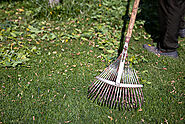 Garden tidy up,Full Garden Cleanups, Driveway Power Washing South Dublin