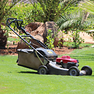 Lawn Mowing Tidy Gardens South Dublin