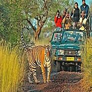 Golden Triangle Tour With Ranthambore by The Taj in India Company