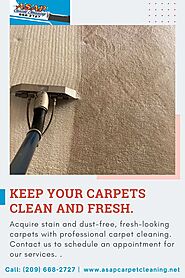 Affordable Carpet Cleaning in Turlock