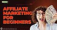 Which Program is the Best for Affiliate Marketing for Beginners?