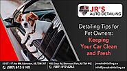 Detailing Tips for Pet Owners: Keeping Your Car Clean and Fresh