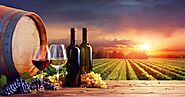 Best Wineries in Massachusetts