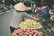 Vietnam – Top Picks Reviews