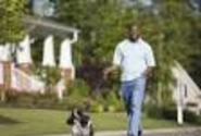 Dog ownership can carry health benefits, finds study