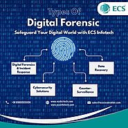 Cyber Forensic Experts: Protect Your Data Now | ECS Infotech