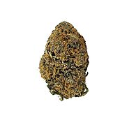 Canada's Best Deals on Budget Buds Delivered to Your Door | Togo Weed