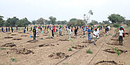 Tree Plantation in Nashik