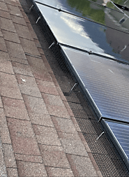 Why You Need Critter Guards for Your Solar Panels