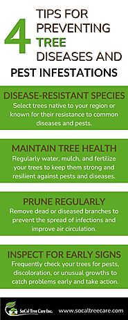 Tips For Preventing Tree Diseases and Pest Infestations