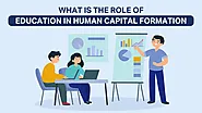 What Is The Role Of Education In Human Capital Formation