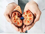 Pune Nephrology Doctor in Pune | Kidney Specialist | Dr. Sandeep Morkhandikar