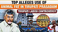 Laddus,Lies and Legacies:The Turbulent Tirupati Laddu Controversy 2024