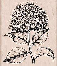 Hero Arts Woodblock Stamp, Hydrangea