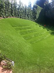 Does Artificial Grass Landscaping Increase Home Value?