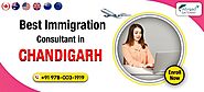 Visa Consultants in Chandigarh Help You Navigate the Application Process