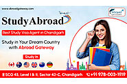 Key Benefits of Working with Visa Consultants in Chandigarh - Online-Petition