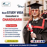 Importance of Hiring a Professional Visa Agent in Chandigarh | by Abroadgateway5 | Sep, 2024 | Medium