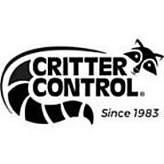 Cockroach Pest Control Services in Tampa by Critter Control