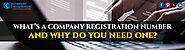 What's a Company Registration Number, and Why Do You Need One?