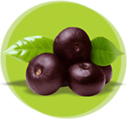 Vita Plus Acai Berry Powder – Superfood for Energy & Wellness
