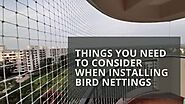 Installation of Bird Nets: What to Consider