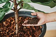 Incorporating Water-Soluble Fertilizers in Your Farming Practices