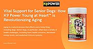 Vital Support for Senior Dogs: How K9 Power Young at Heart™ is Revolutionizing Aging