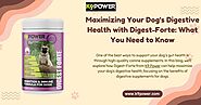 Maximizing Your Dog's Digestive Health with Digest-Forte: What You Need to Know