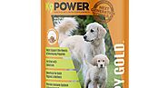 How to Improve Your Dog’s Coat and Skin with K9 Power’s Shine Formula