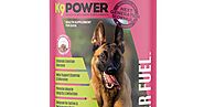 How to Support Your Senior Dog’s Health with K9 Power’s Joint and Mobility Supplements