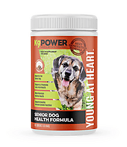 Boost Your Senior Dog's Vitality: The Benefits of K9 Power's Young at Heart Supplement