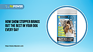 How Show Stopper Brings Out the Best in Your Dog Every Day