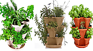 Want to start an organic Indoor Herb Garden ? Read this quick guide