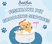 Fishhawk Pet Grooming Services