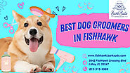 Best Dog Groomers in Fishhawk