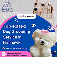 Top-Rated Dog Grooming Service in Fishhawk