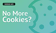 6 Alternatives to Third-Party Cookies for Google Ads | GrowthIQ Digital