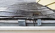 Common Signs That Indicate Your Roof Needs Repair