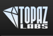 Topaz Labs - Company
