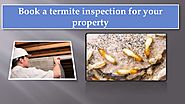 Book a Termite Inspection For Your Property