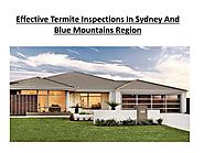 Effective Termite Inspections In Sydney And Blue Mountains Region PowerPoint Presentation - ID:7824163