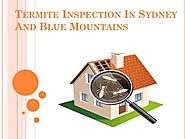 Termite Inspection in Sydney And Blue Mountains