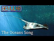 Bemular - The Oceans Song (Educational Kids Music & Video)
