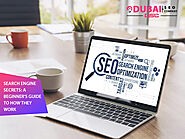 Search Engine Secrets