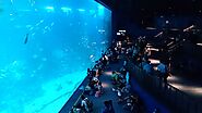 S.E.A. Aquarium