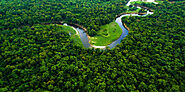 Top 10 NGOs in Vijayawada: Promoting Empowerment, Inspiring Progress – Grow Billion Trees