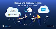 4. Test Your Backup and Recovery Plan