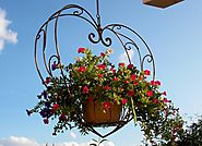 Don't forget about hanging baskets, young trees, shrubs, and newly laid turf