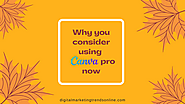 Why you consider using Canva pro now